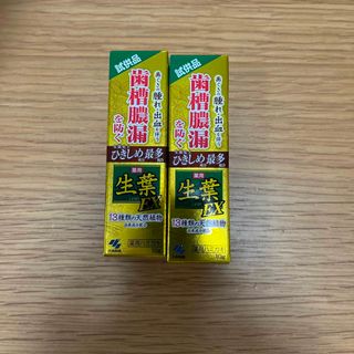 コバヤシセイヤク(小林製薬)の小林製薬　生葉　EX 歯磨き粉　試供品×2個　(歯磨き粉)