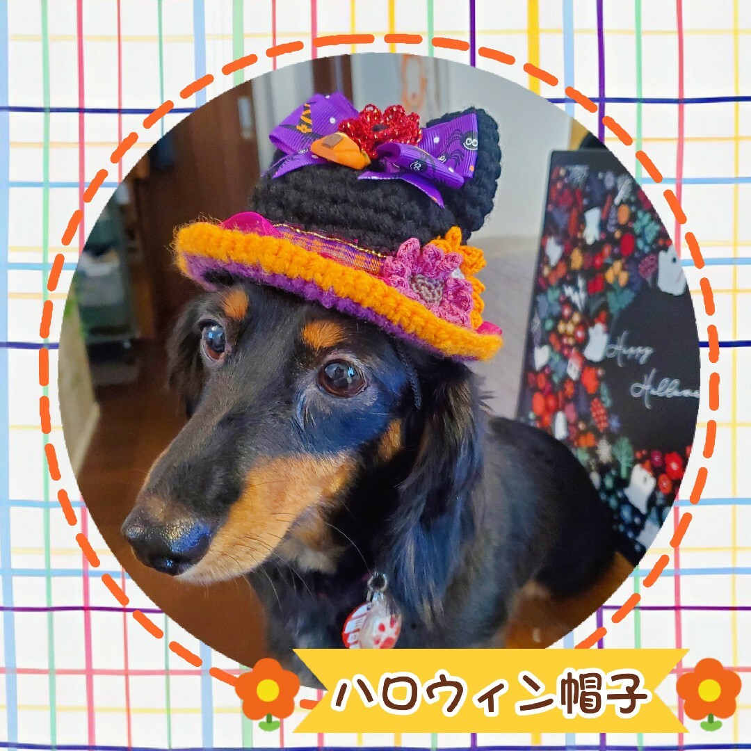 【⠀送料無料 】ハロウィン 犬用 帽子 ハンドメイドのペット(ペット服/アクセサリー)の商品写真
