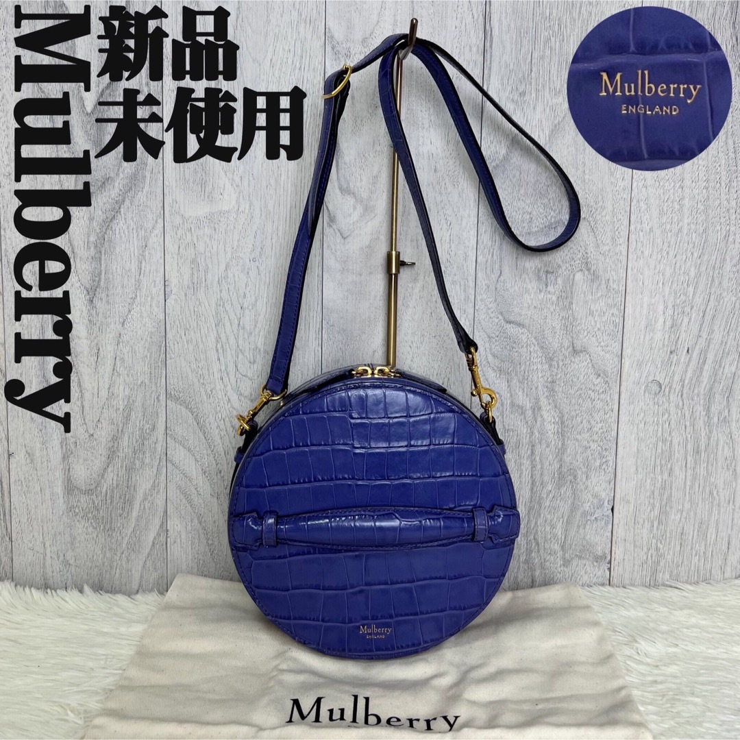 ハンドバッグMulberry マルベリー 2way ショルダーバッグ (ハンドバッグ)