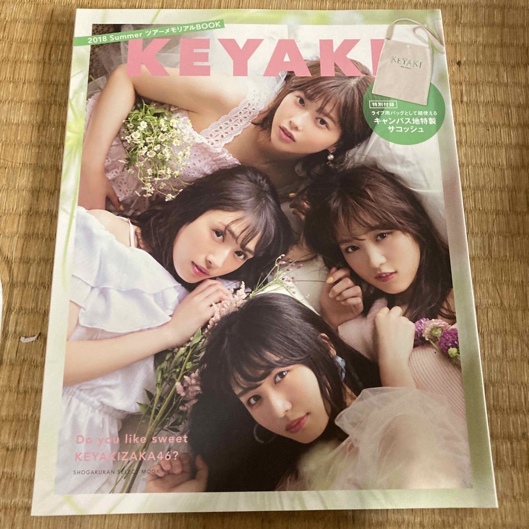 欅坂46(けやき坂46)(ケヤキザカフォーティーシックス)のＫＥＹＡＫＩ ２０１８　ＳｕｍｍｅｒツアーメモリアルＢＯＯＫ エンタメ/ホビーの本(アート/エンタメ)の商品写真