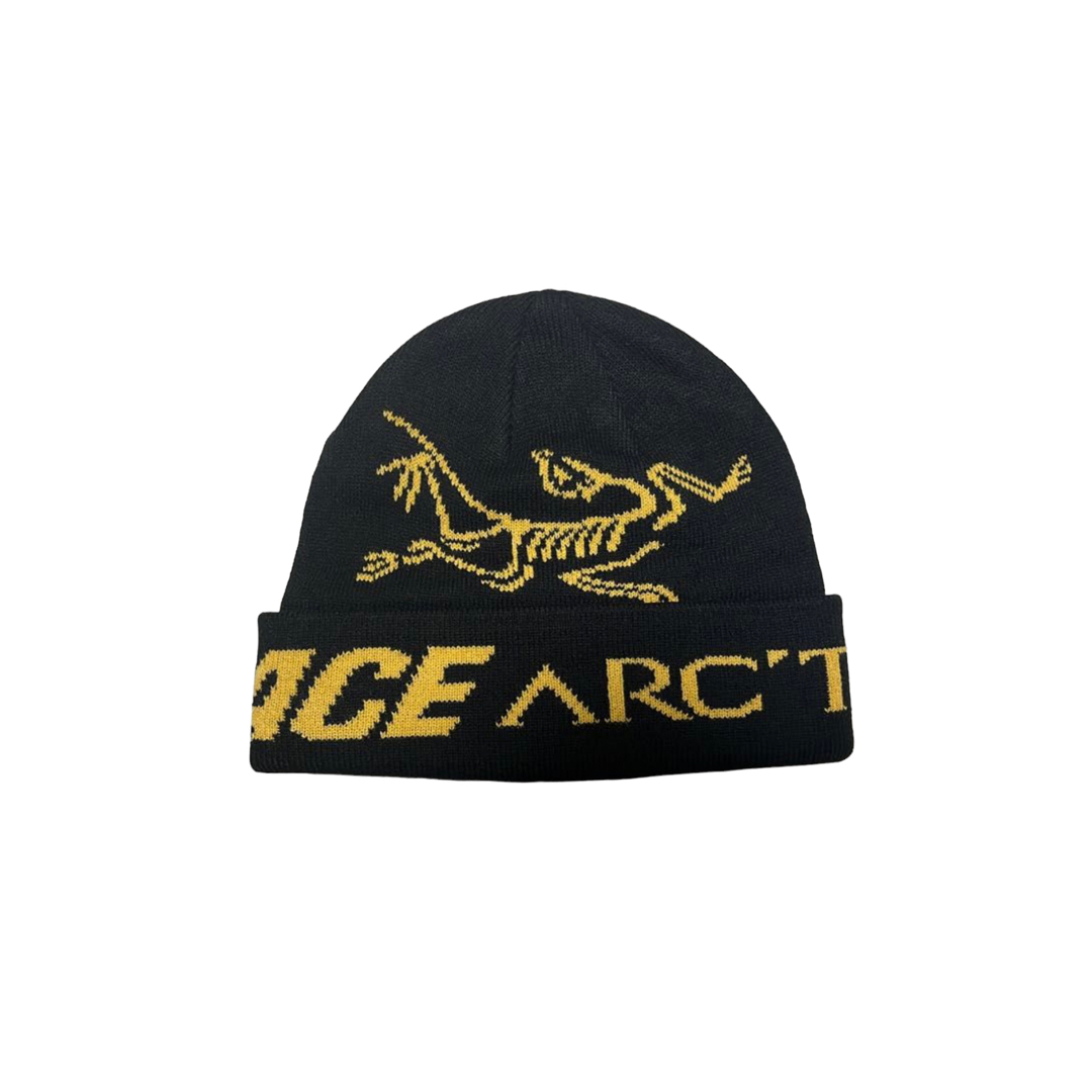 Palace arc’teryx beanie パレス　アークテリクス　ビーニーなどお好きな方にお薦めです