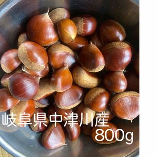 9/22朝収穫　生栗　800g(フルーツ)