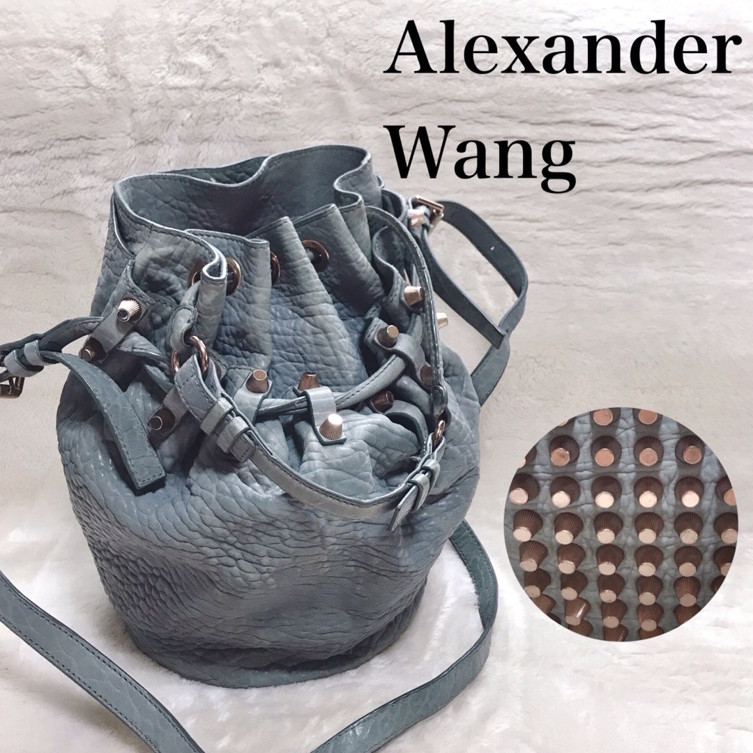 Alexander Wang - 希少カラー Alexander Wang ディエゴ スタッズ