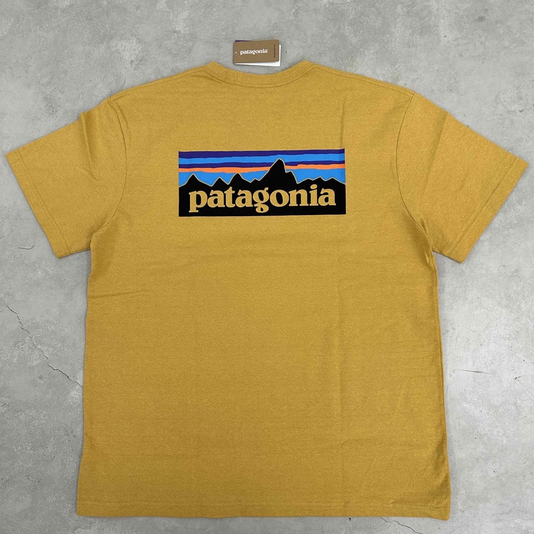 新品未使用　タグ付き　patagonia　パタゴニア　Tシャツ