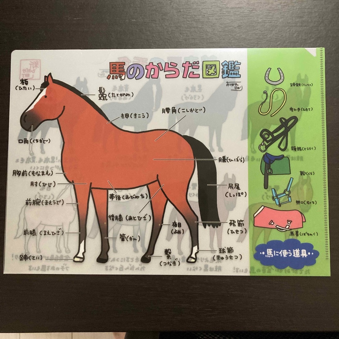 競馬クリアファイル　おがわじゅり エンタメ/ホビーのコレクション(ノベルティグッズ)の商品写真