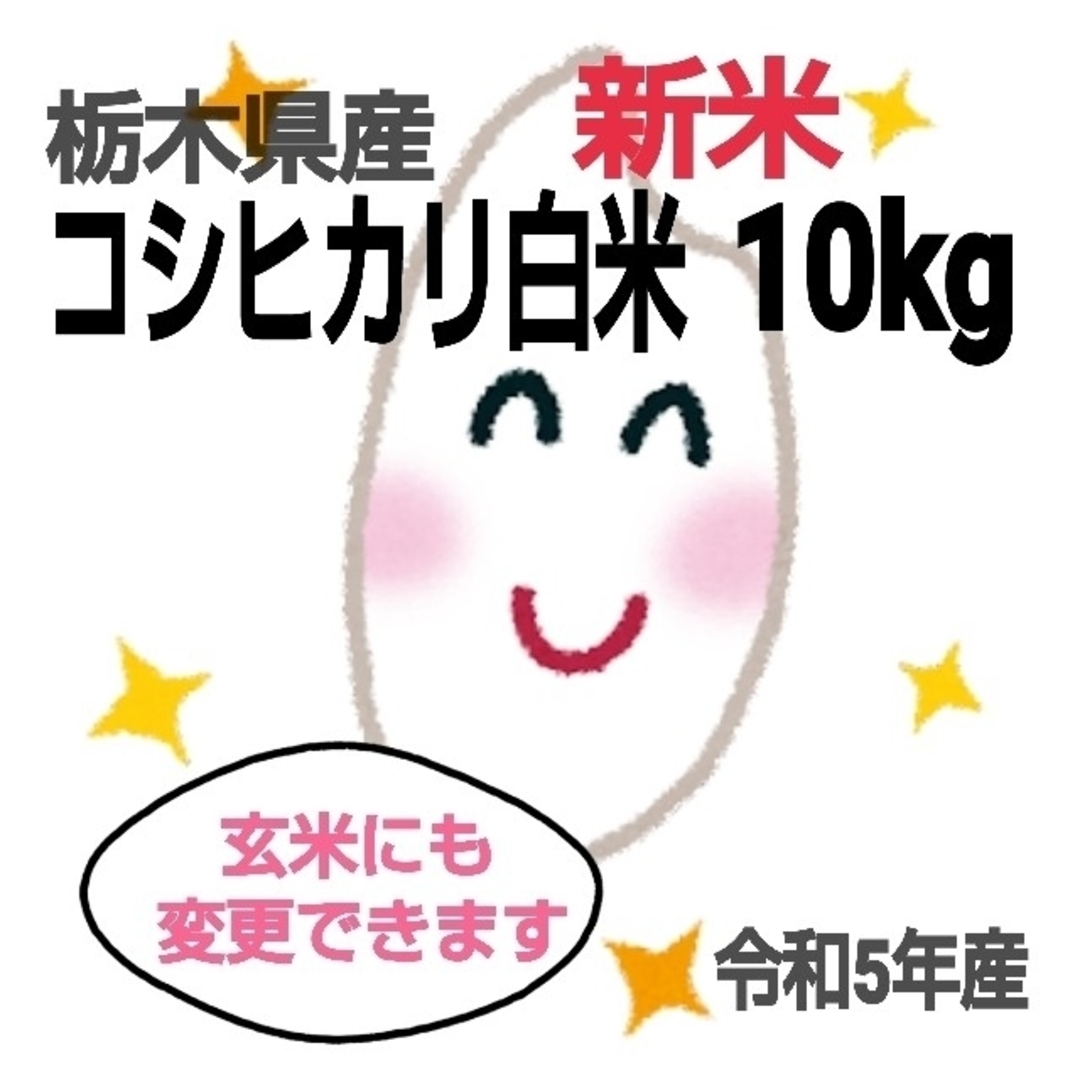 【令和5年 新米 栃木県産コシヒカリ 10kg☆白米】