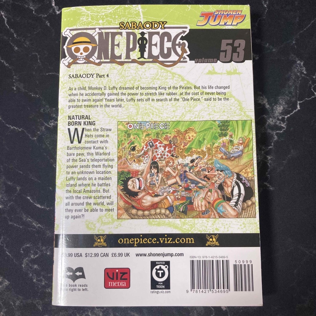 ONE PIECE(ワンピース)の▲英語版▲ ワンピース ONE PIECE 53巻 エンタメ/ホビーの漫画(少年漫画)の商品写真