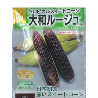 大和ルージュの種  20粒  日本初！  赤いスイートコーン(野菜)