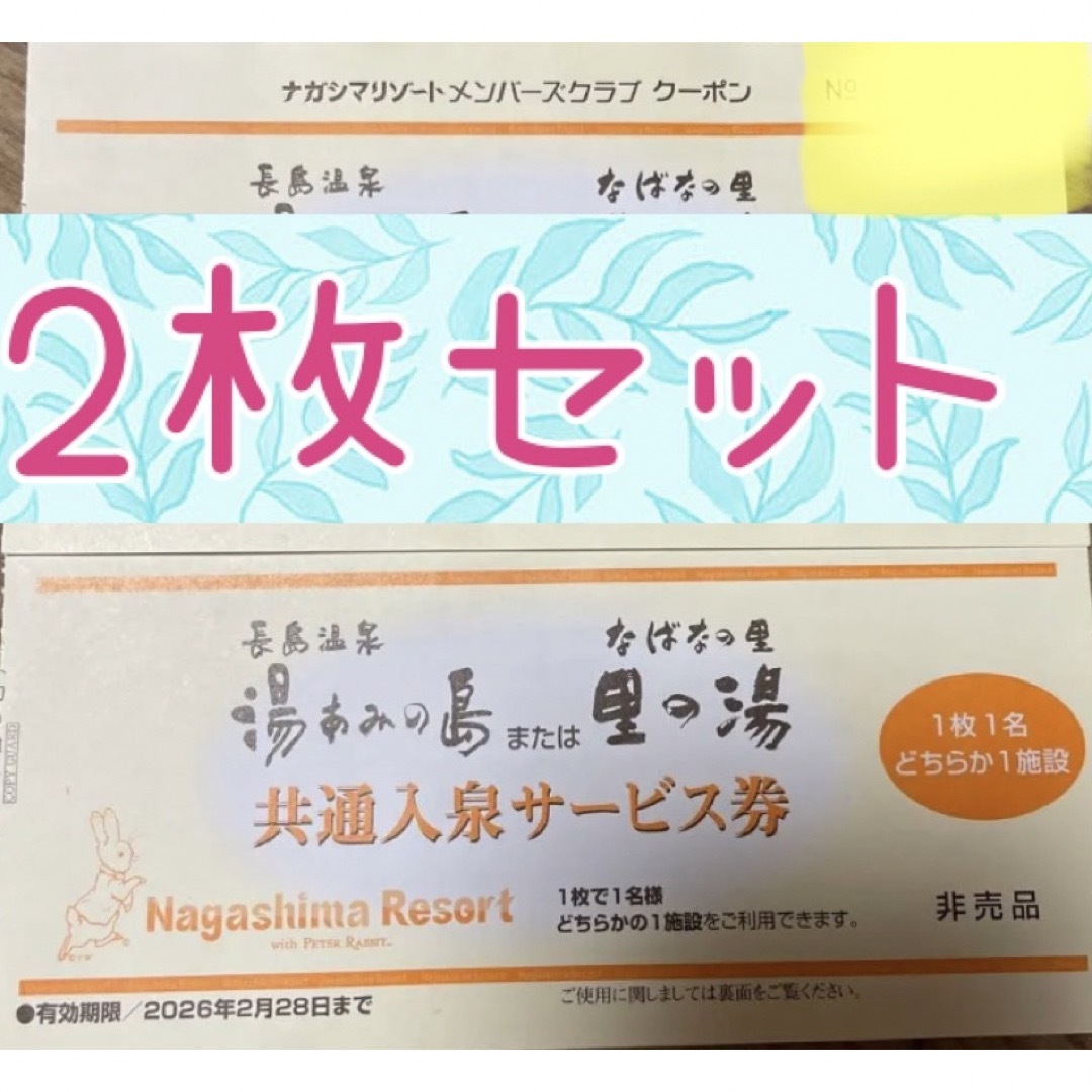 ナガシマリゾート 湯あみの島 2枚 ナガシマスパーランド 長島スパー