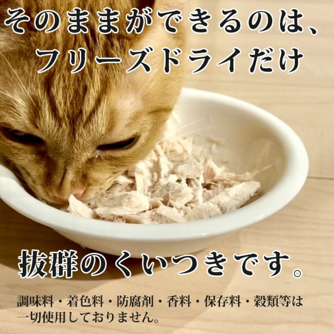 FOUR-FOODS フリーズドライ ササミ 国産ささみ 国内加工 無添加 猫 その他のペット用品(ペットフード)の商品写真