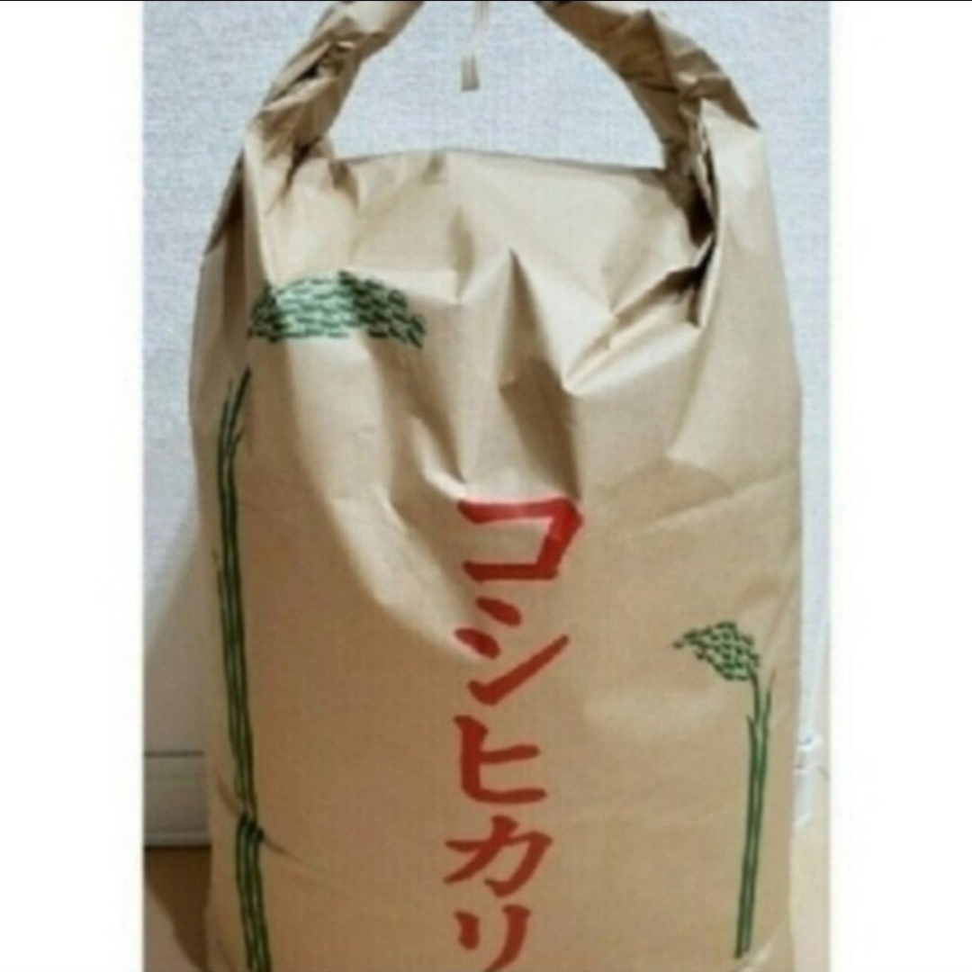 米/穀物令和5年度　茨城県産コシヒカリ玄米30kg,,