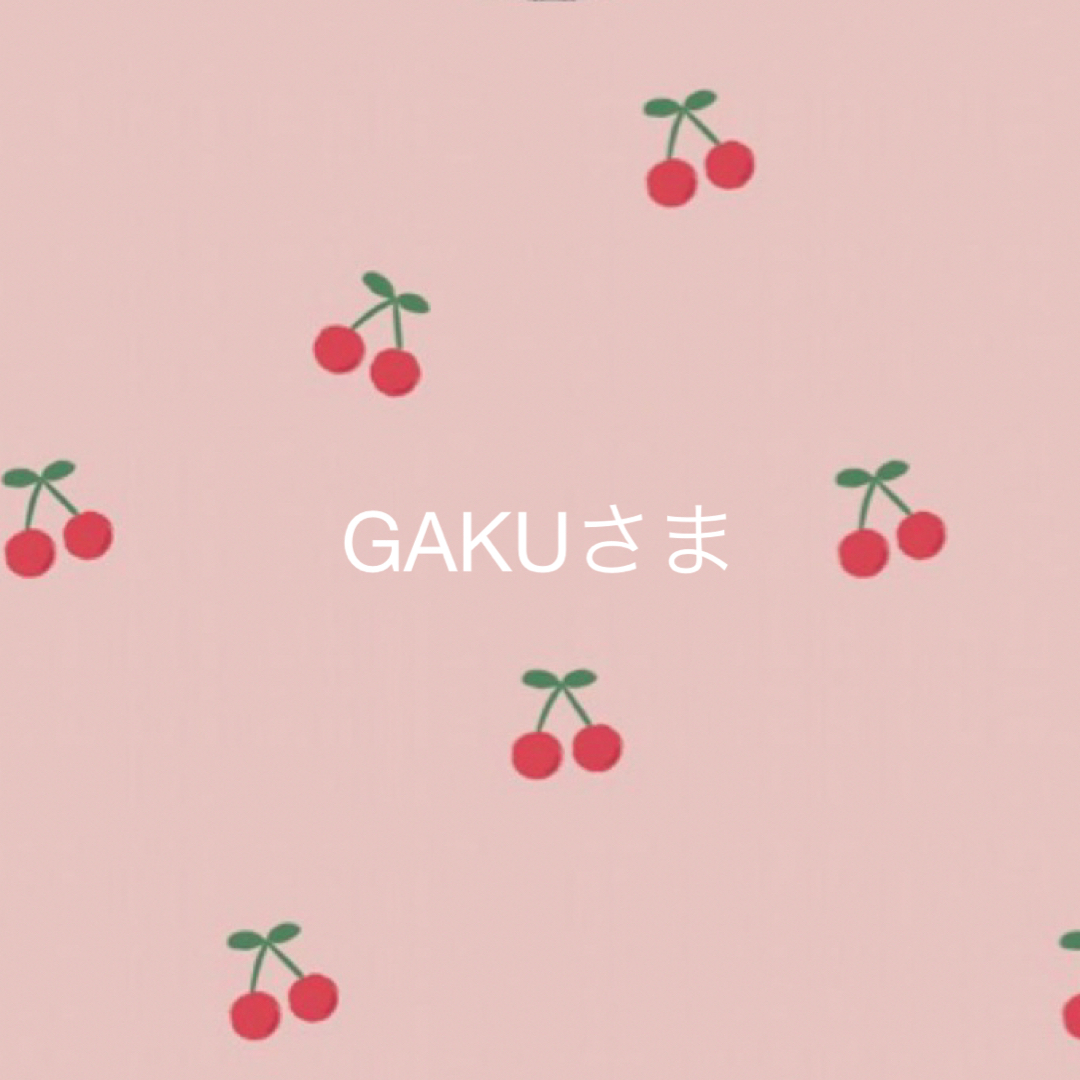 GAKUさま専用