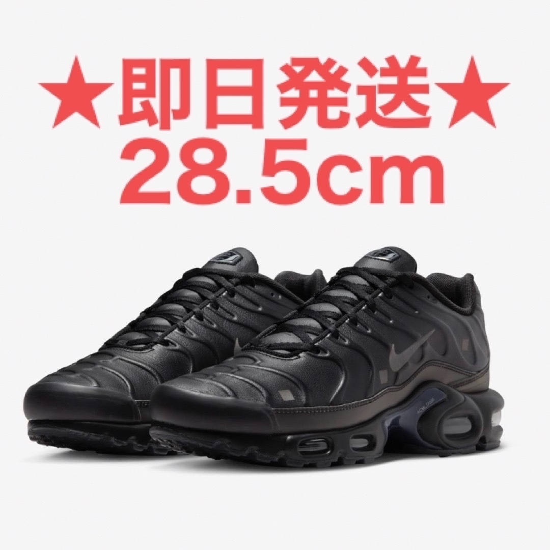 A-COLD-WALLサイズ【28.5cm】A-COLD-WALL Nike Air Max Plus