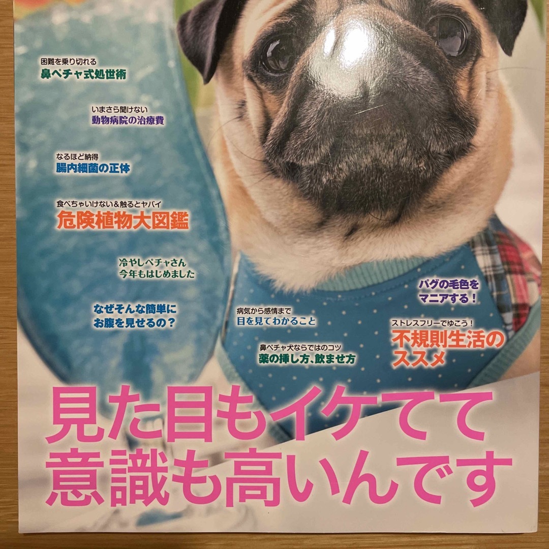 ＰＥ・ＣＨＡ ｖｏｌ．１８　【ペチャ】鼻ペチャ犬専用マガジン