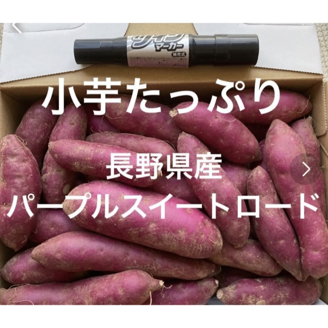 長野県産　パープルスイートロード　1.5キロ 食品/飲料/酒の食品(野菜)の商品写真