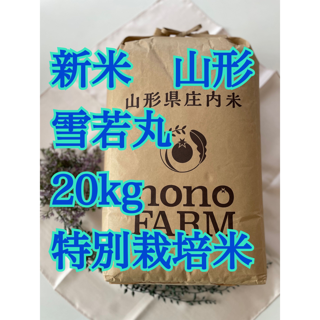 雪若丸　20kg 山形　特別栽培米　令和5年食品/飲料/酒