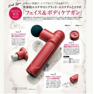 タカラジマシャ(宝島社)の&ROSY 10月号付録　(フェイスケア/美顔器)