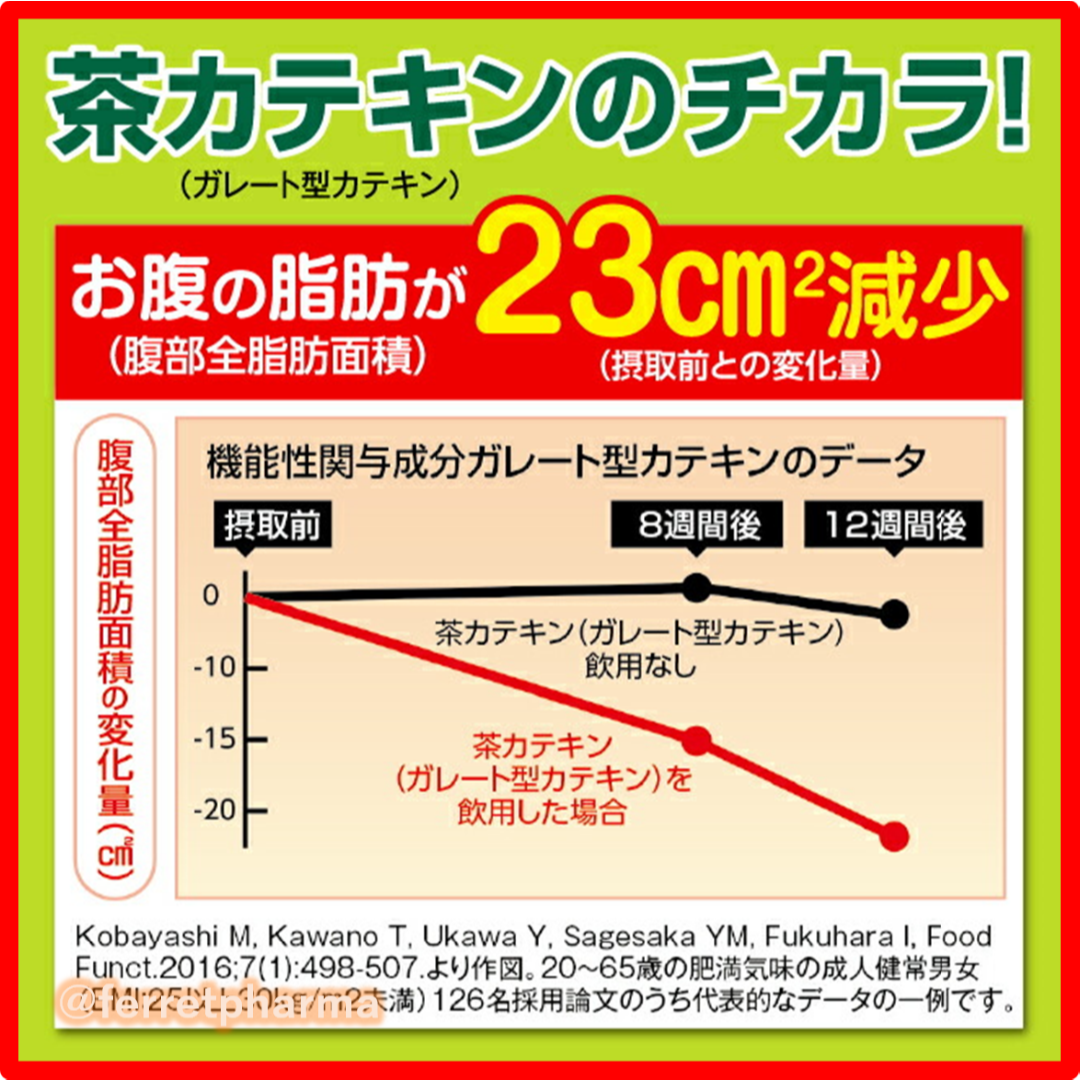 井藤漢方製薬(イトウカンポウセイヤク)の【残りわずか】エルベプランズ シボナイン 62粒 31日分 1袋 コスメ/美容のダイエット(ダイエット食品)の商品写真