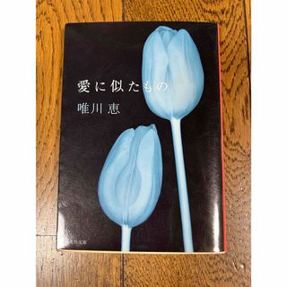 文庫本(文学/小説)