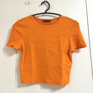 ザラ(ZARA)のZARA / ショート丈Tシャツ(Tシャツ(半袖/袖なし))