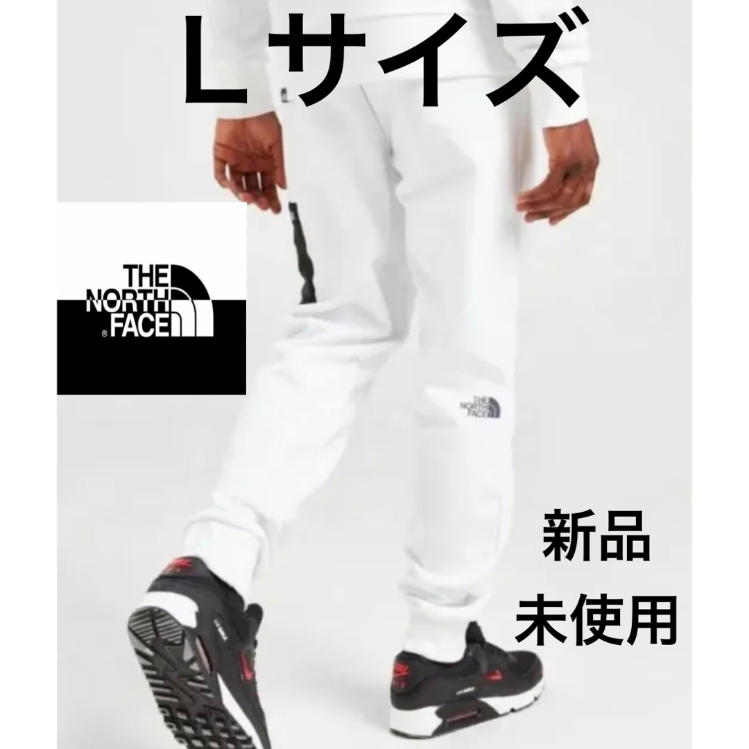 THE NORTH FACE - 限定ラスト1点！ Lサイズ【新品】ノースフェイス 裏