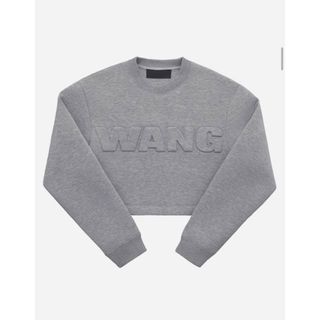 エイチアンドエム(H&M)の10月15日まで出品/値下げ　ALEXANDER WANG×H&M スエット(トレーナー/スウェット)