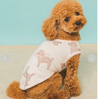 ジェラートピケ(gelato pique)のジェラートピケ　トイプードル柄ウェア　ペット服(犬)