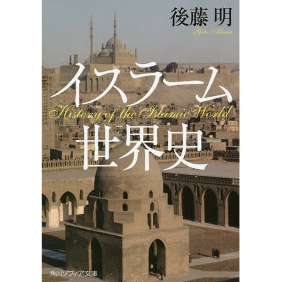 イスラーム世界史 エンタメ/ホビーの本(人文/社会)の商品写真