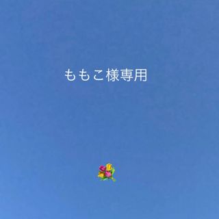 ももこ様オーダー(その他)