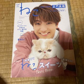 ジャニーズジュニア(ジャニーズJr.)のねこ ＮＯ．１２４　正門良規(住まい/暮らし/子育て)