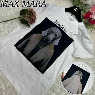 マックスマーラ(Max Mara)のMAX MARA マックスマーラ レアモデル レディース 婦人 半袖 カットソー(Tシャツ(半袖/袖なし))