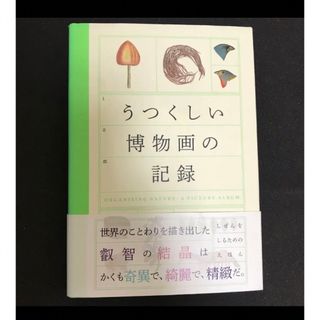  「うつくしい博物画の記録 しぜんを しるための えほん」 堀口 容子 / (その他)