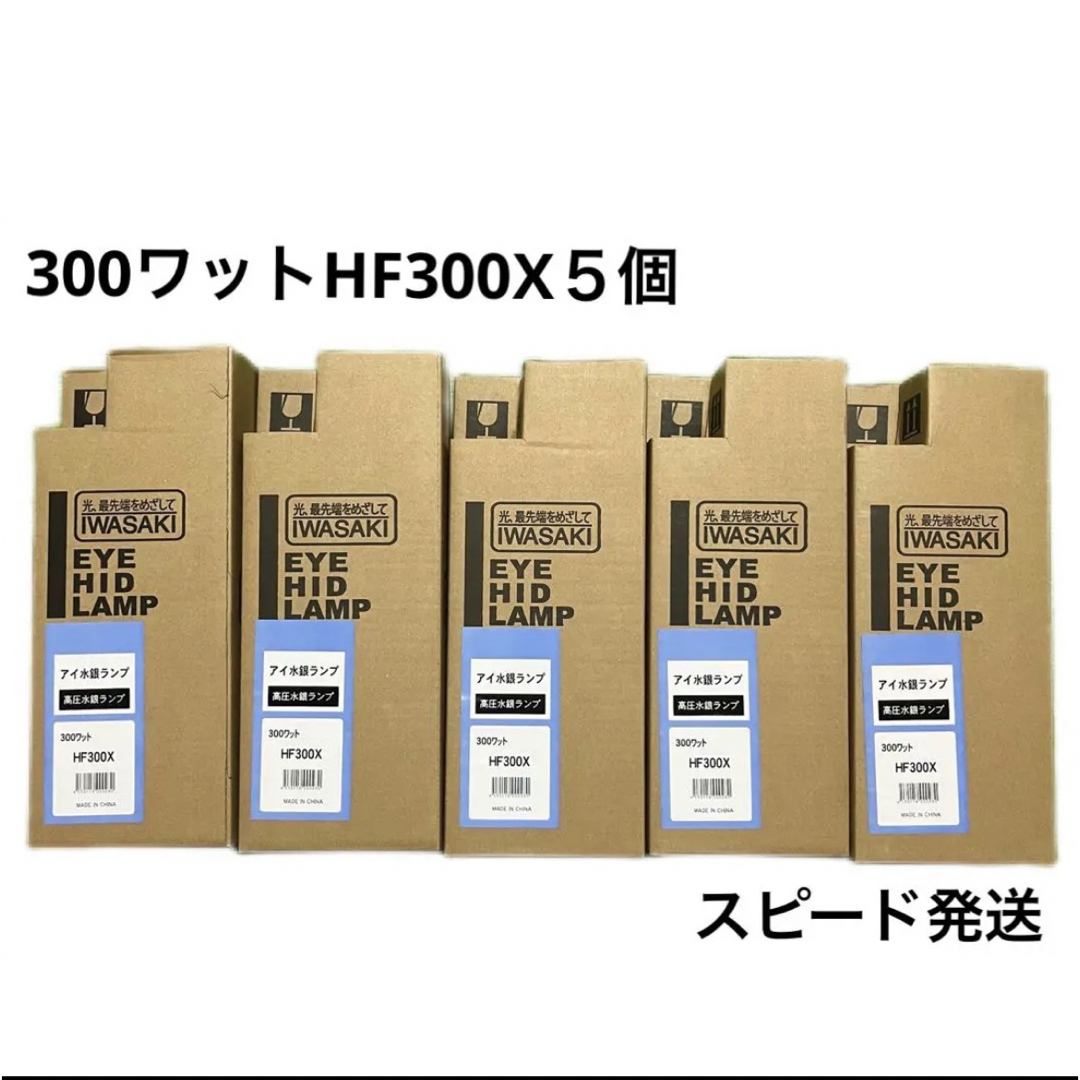 岩崎電気株式会社　アイ水銀ランプ300W　HF300X 5個
