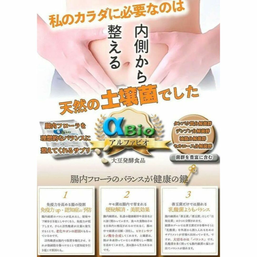 アルファＢＩＯ 土壌菌 サプリメント 腸内細菌 乳酸菌 大豆発酵食品 健康食品 1