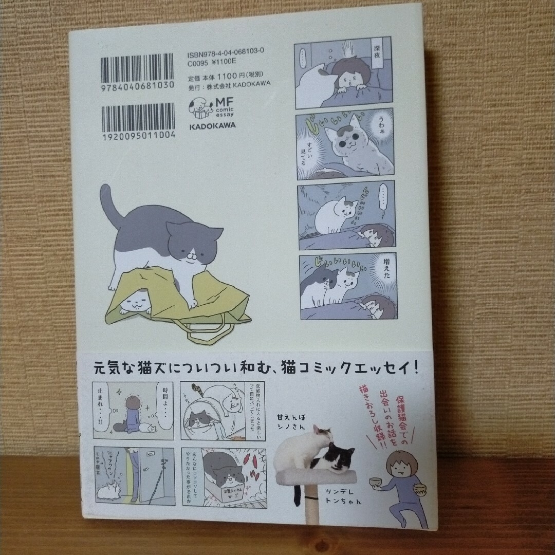 【即日発送可】うちの猫がまた変なことしてる。 エンタメ/ホビーの漫画(4コマ漫画)の商品写真