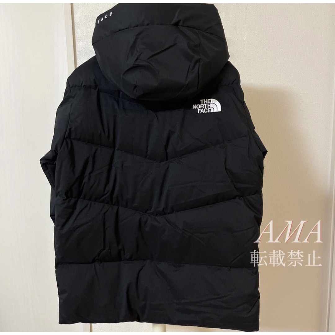 THE NORTH FACE - 【新品タグ付き】FREE MOVE DOWN JACKET Lサイズの