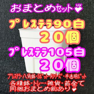 【スリット鉢】プレステラ90＆105 白 各20個 多肉植物 プラ鉢(プランター)