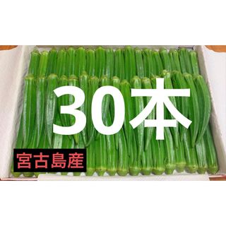 【30本】宮古島産　おくら　オクラ(野菜)