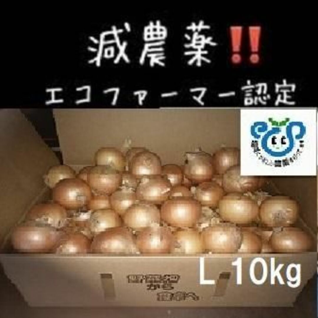 北海道産 玉ねぎ Lサイズ 10kg 食品/飲料/酒の食品(野菜)の商品写真