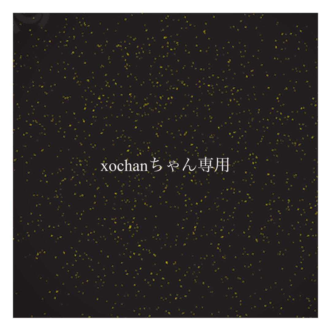 xochan専用 - ピアス
