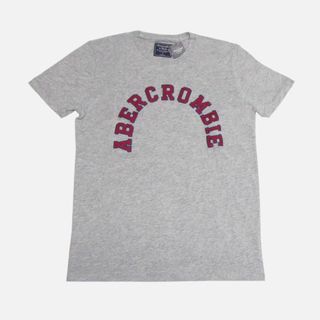 アバクロンビーアンドフィッチ(Abercrombie&Fitch)の★新品★アバクロンビー&フィッチ★アップリケロゴ半袖Tシャツ(Grey/XXL)(Tシャツ/カットソー(半袖/袖なし))