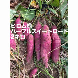 長野県産　パープルスイートロード　2キロ(野菜)