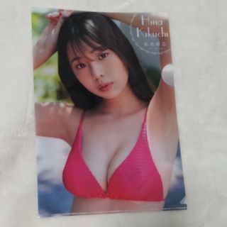 ヤングアニマル　菊地姫奈　クリアファイル(アイドルグッズ)