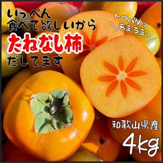 和歌山県産　種無し柿　たねなし柿　箱込み4kg 以上(フルーツ)