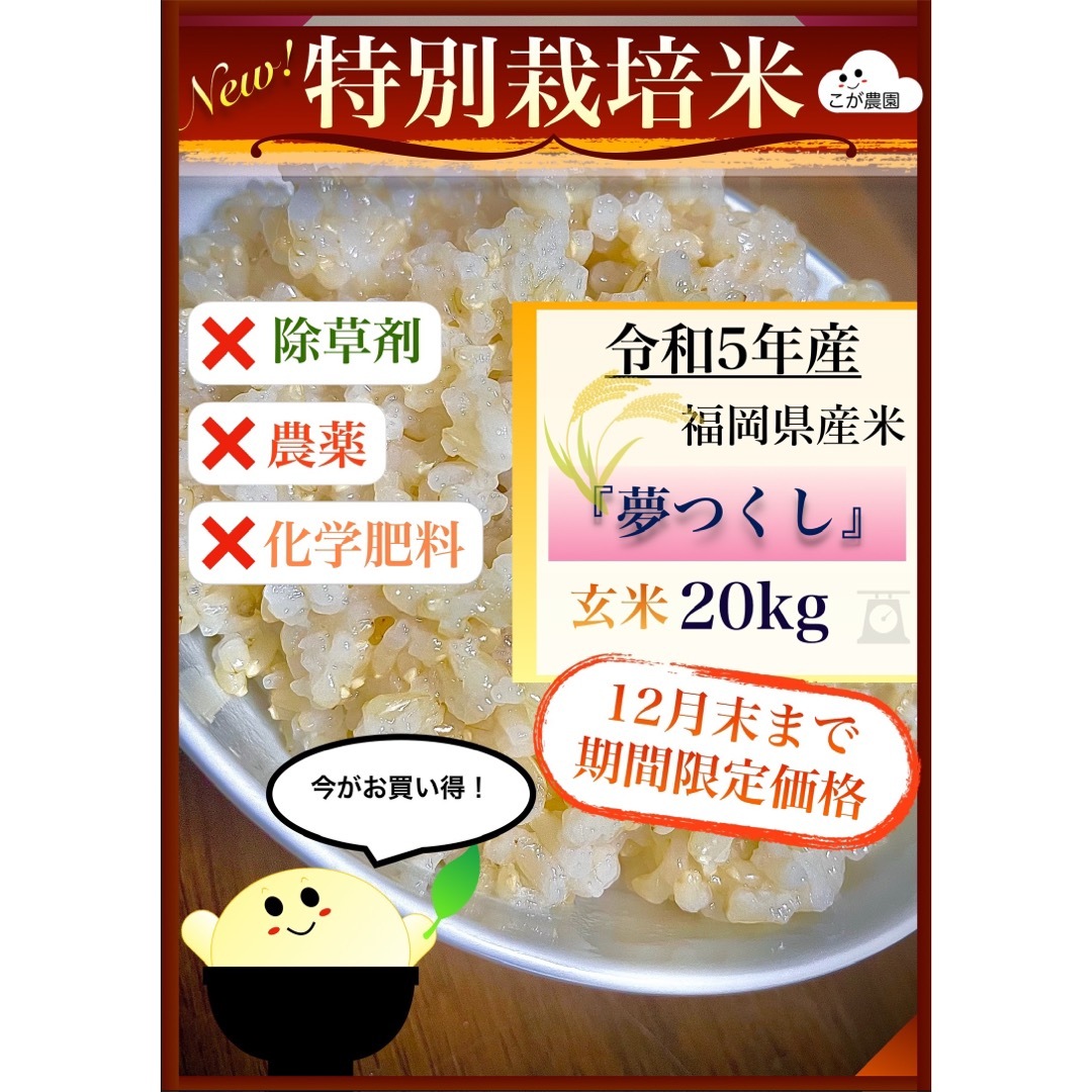 福岡県産「夢つくし」令和５年産　準自然米　米/穀物　玄米20kg　発芽玄米におすすめ