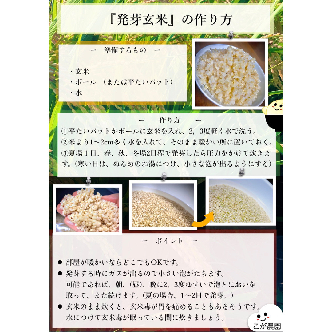 準自然米)　福岡県産『元気つくし』令和４年産　玄米20kg　発芽玄米用に-