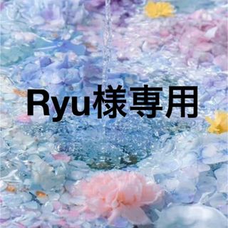 ♡Ryu様専用♡(プランター)