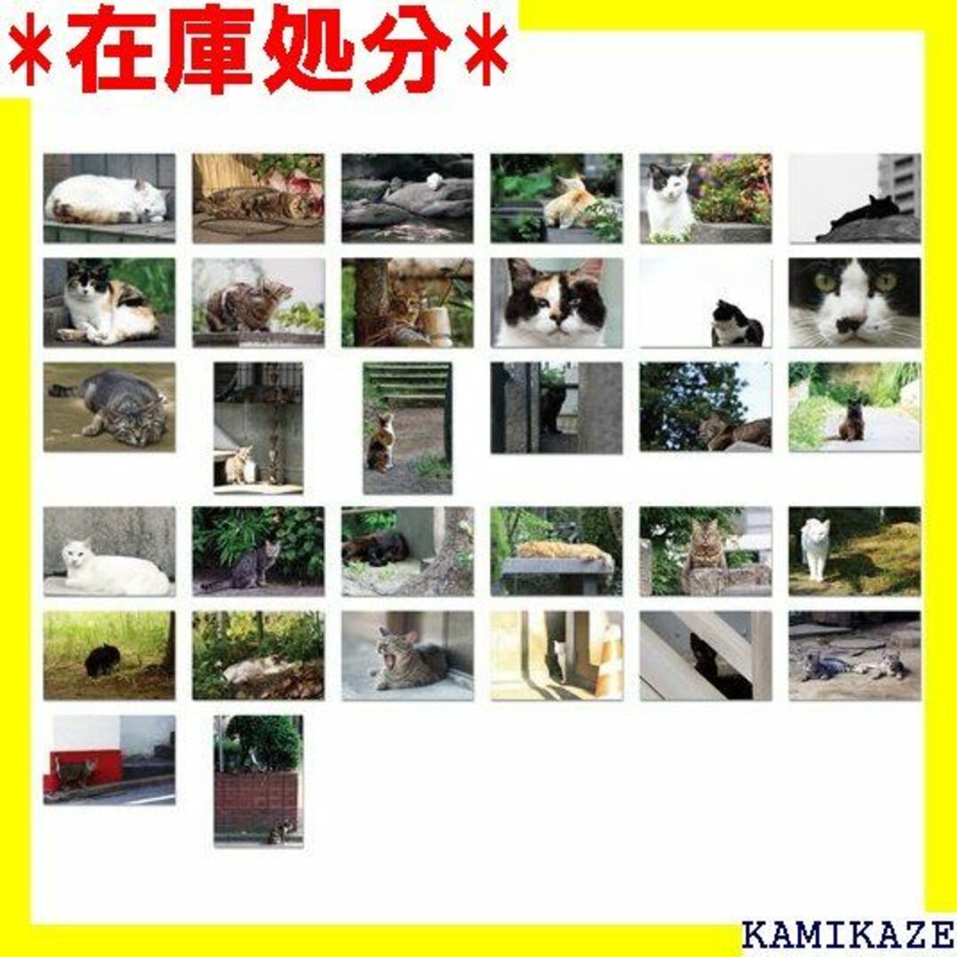 ☆送料無料 ムーングラフィックス ポストカード のら猫 3 ト SET22 16