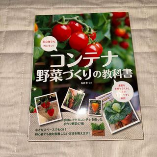 コンテナ野菜づくりの教科書 初心者でもカンタン！(趣味/スポーツ/実用)