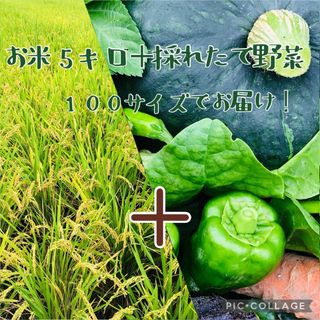 お得用　沖縄県産　へちまEM栽培10kg